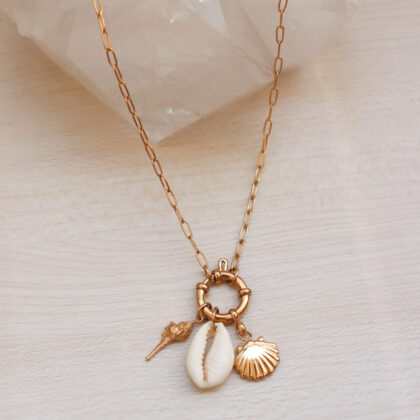 COLAR SHELL