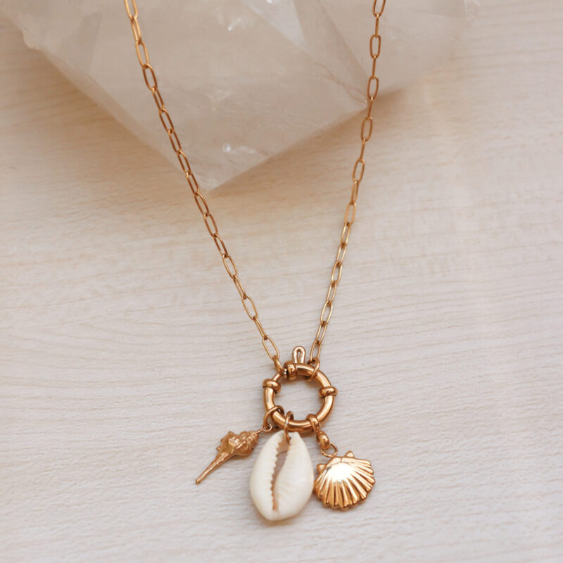 COLAR SHELL
